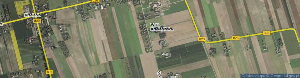 Zdjęcie satelitarne Wola Krasienińska ul.